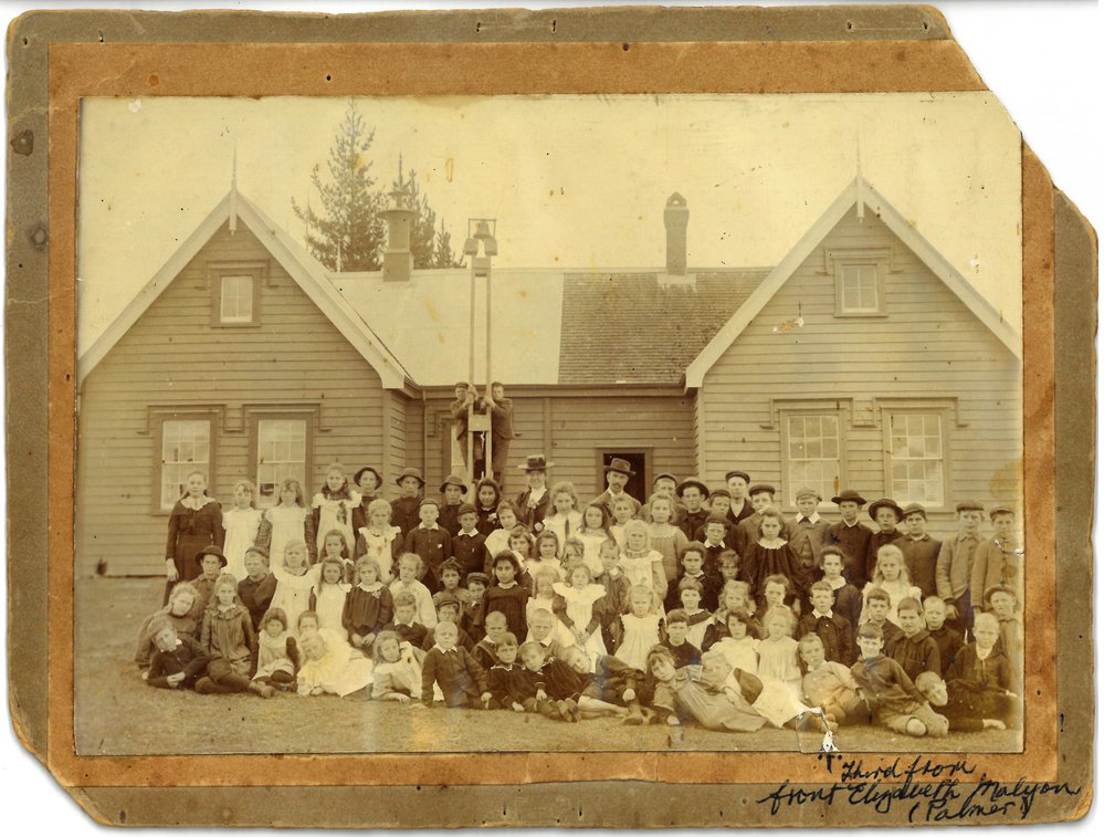 Te Puke School 1900