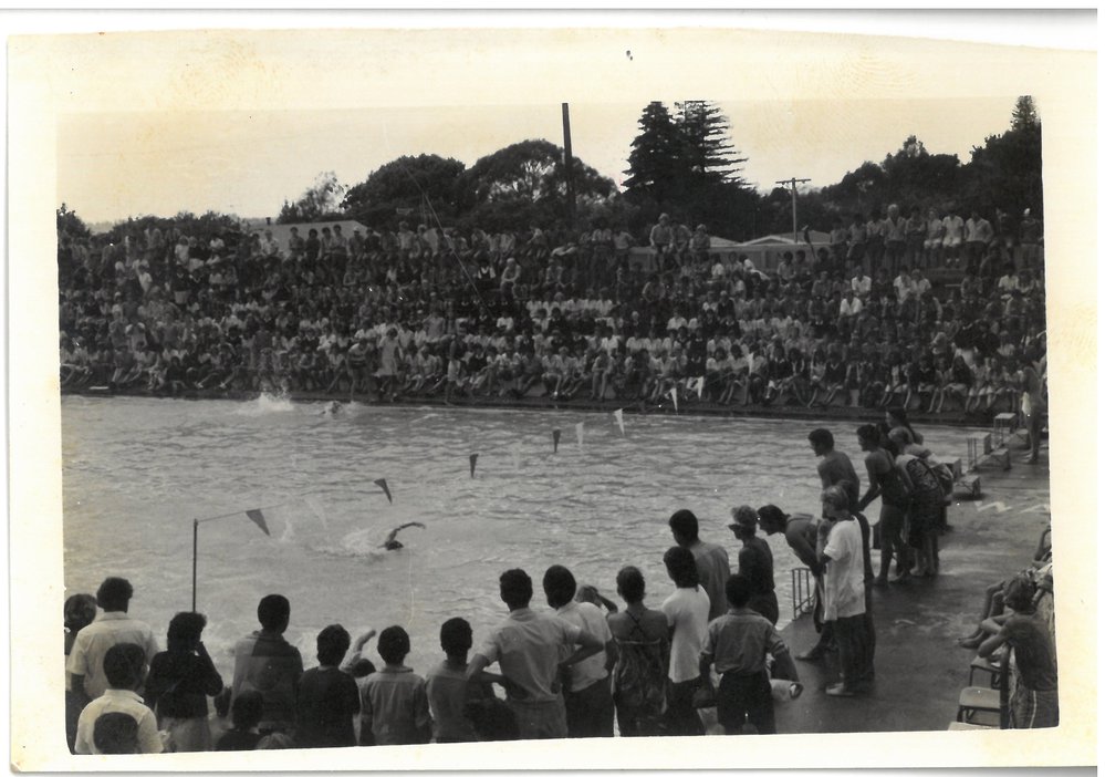 Race Day at Te Puke swimming pool