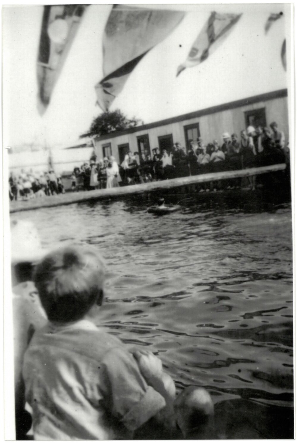 "The Corfu Dive" at the opening of the Te Puke Swimming Pool