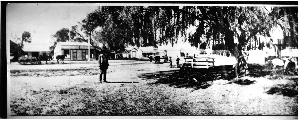 Te Puke Main Road 1905