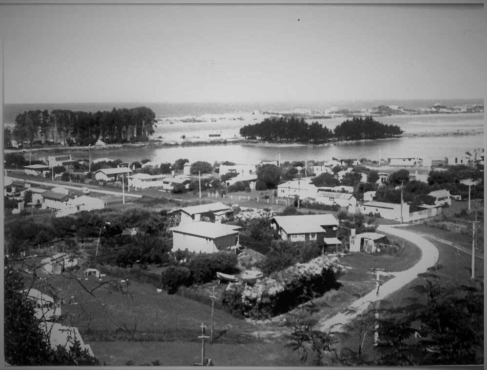 Little Waihi near Maketu