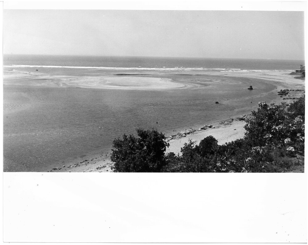 The shoreline near Maketu