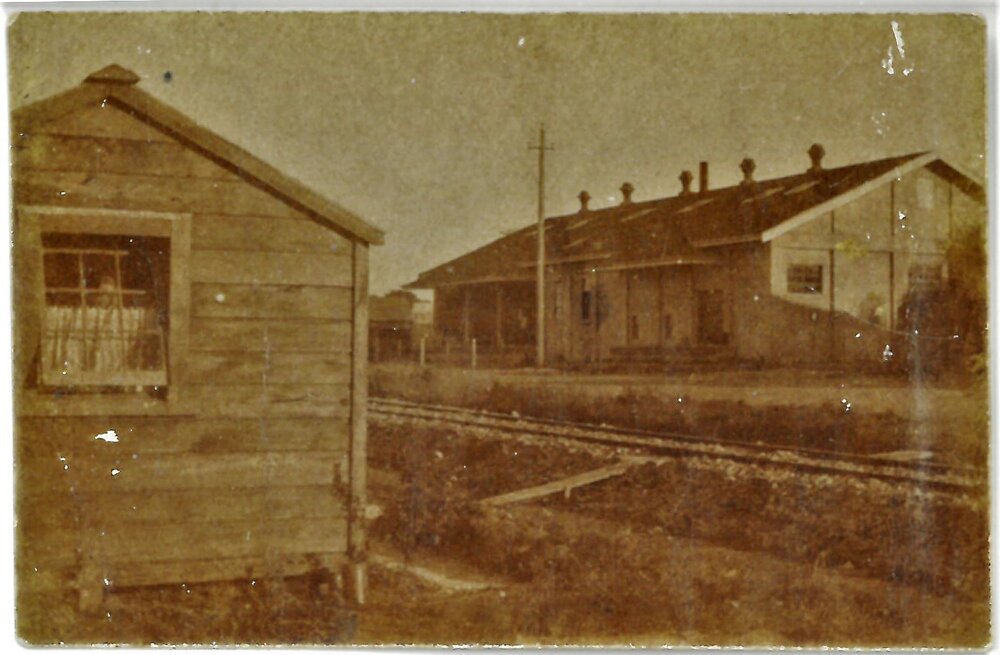 Te Puke Dairy Factory