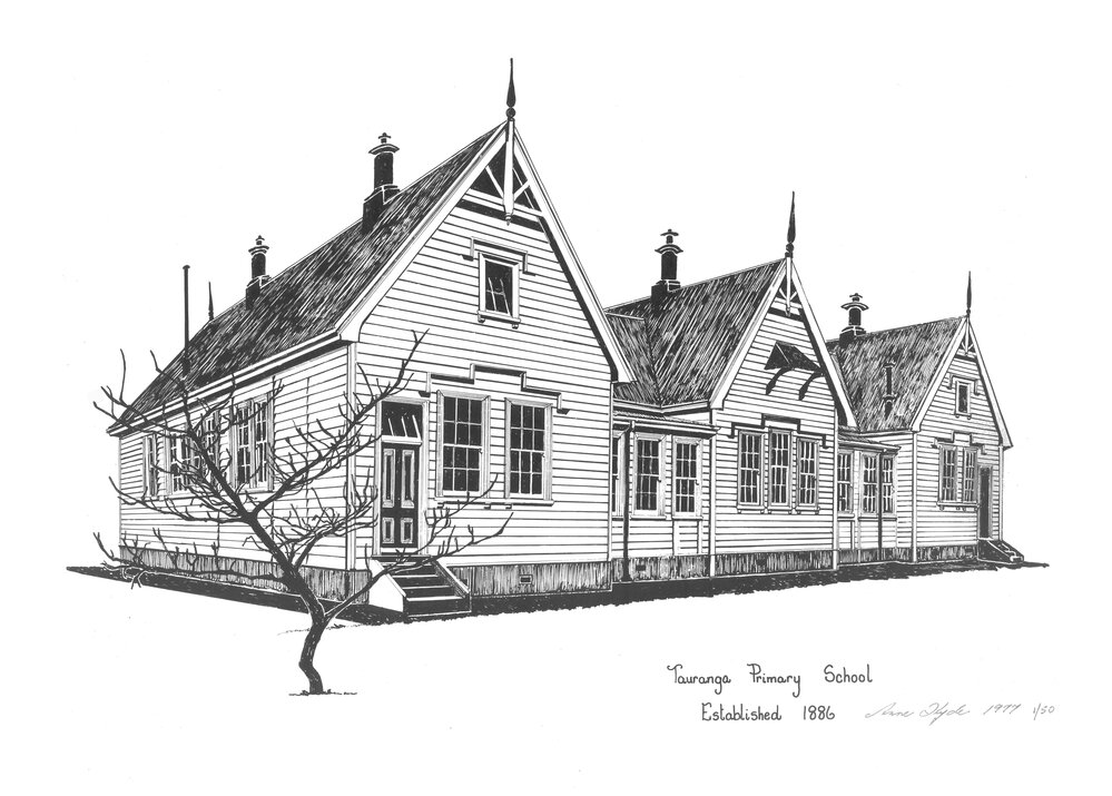 Tauranga Primary School, Tauranga