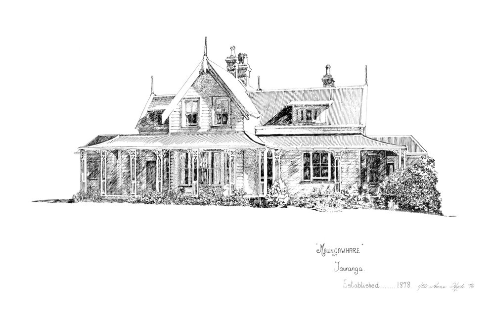 Maungawhare, Tauranga