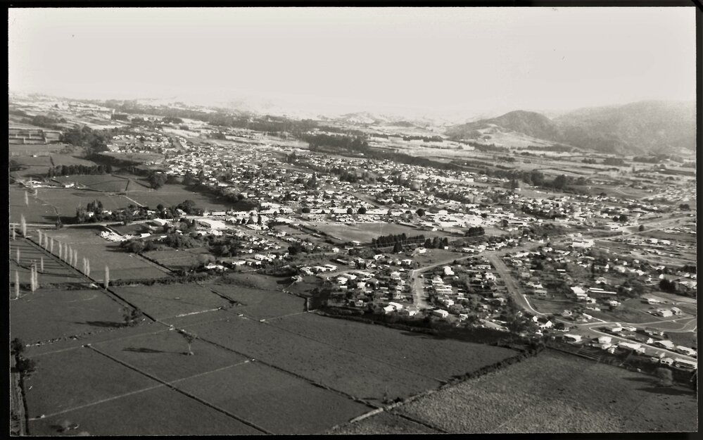 Te Puke