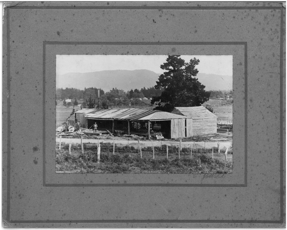 Katikati's first sawmill