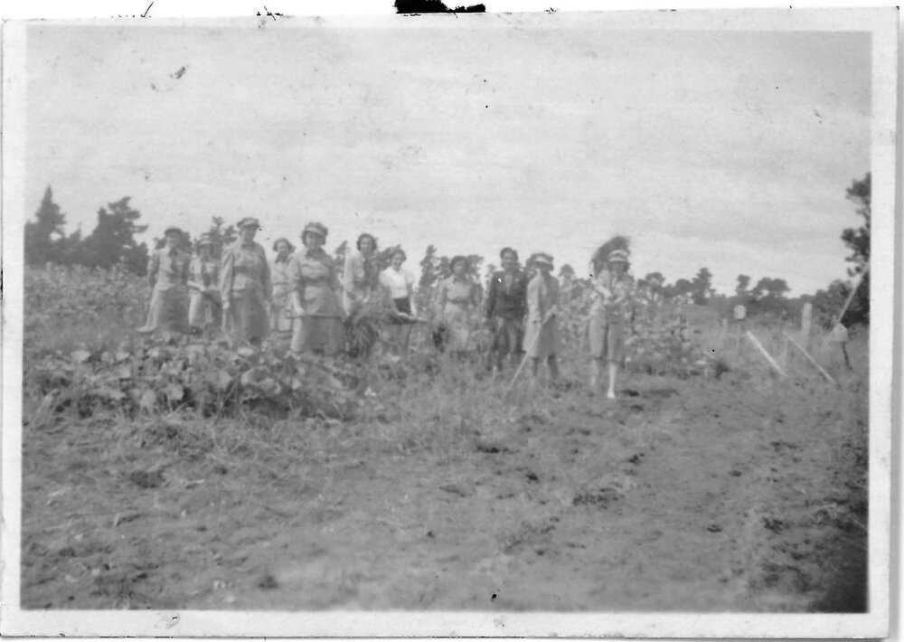 WWSA women on the land