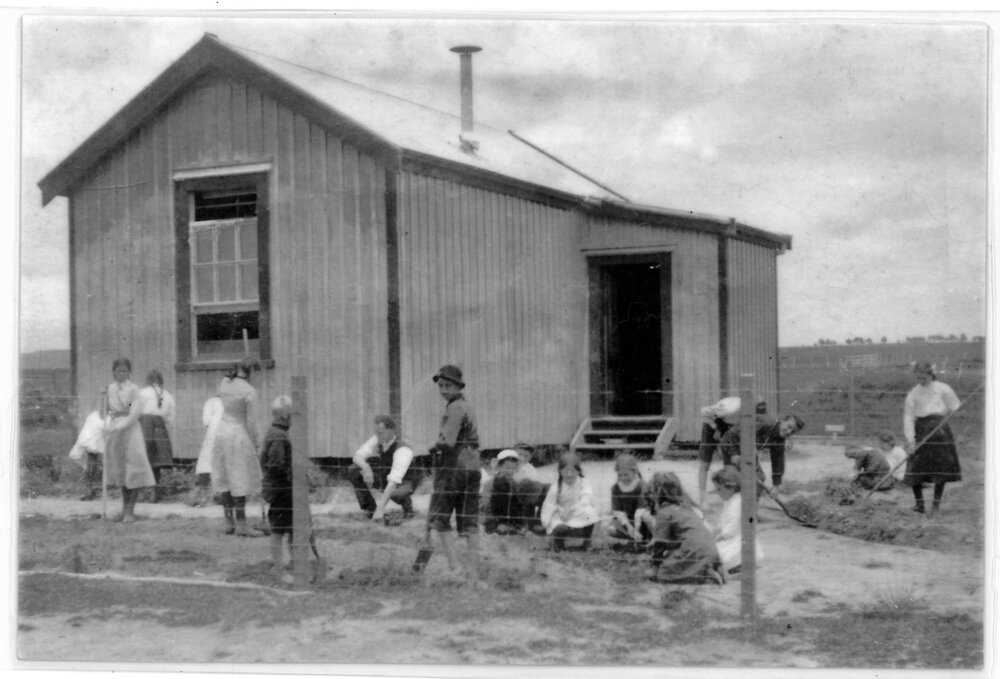 Lower Te Matai School