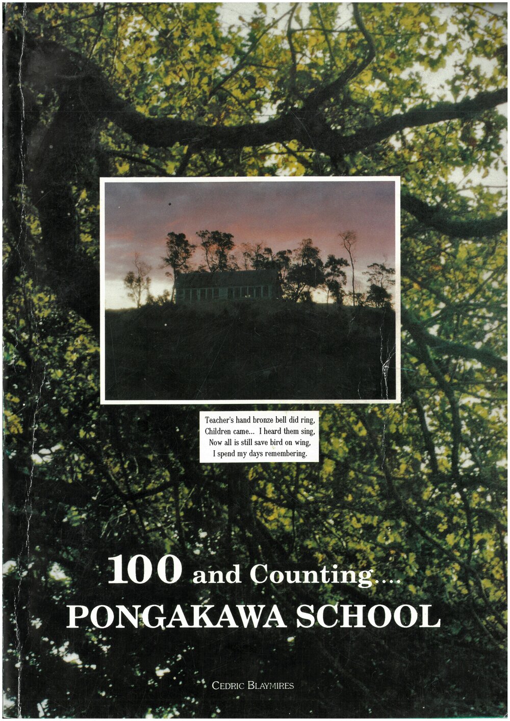 100 and Counting.....Pongakawa School