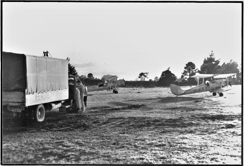 Top dressing Tiger Moths at Katikati
