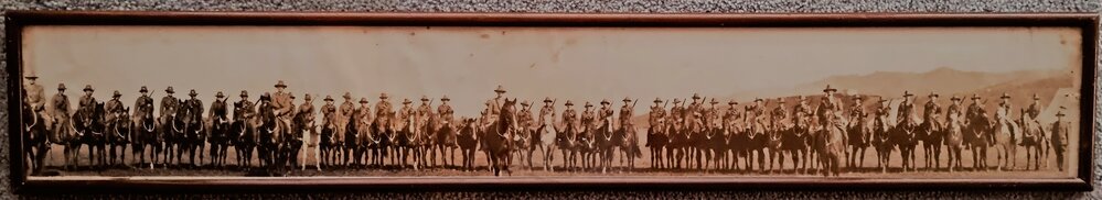 Auckland East Coast Mounted Rifles