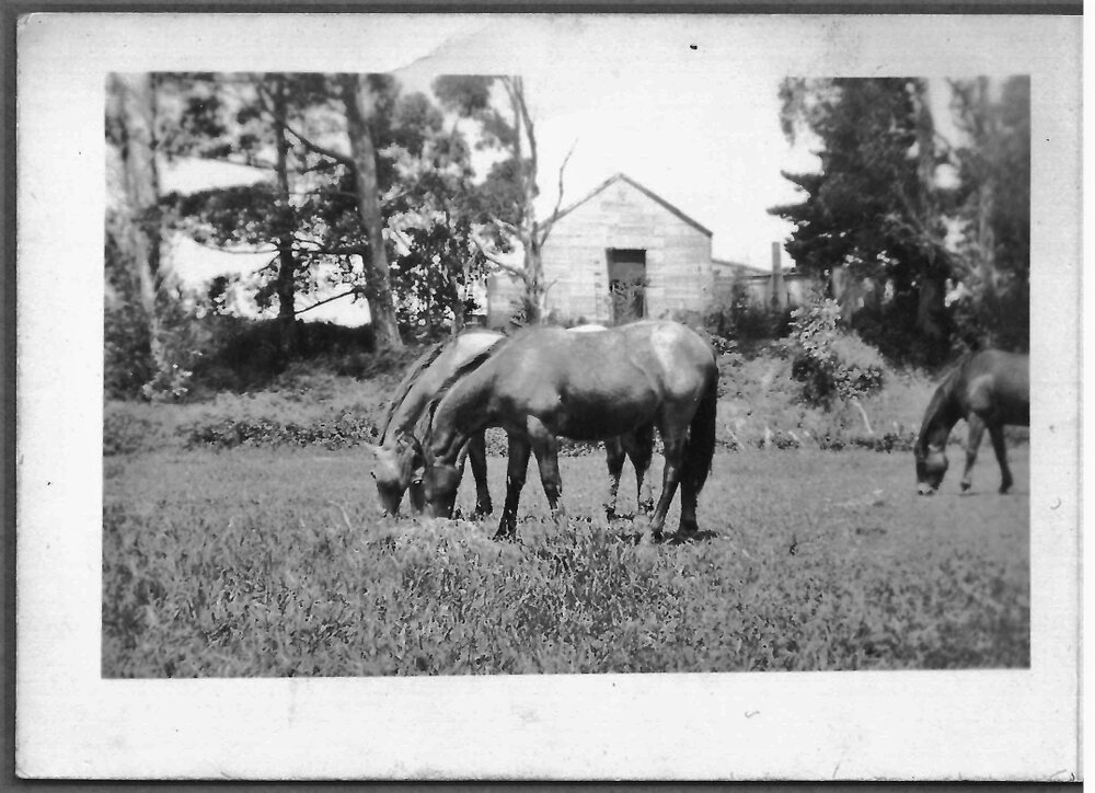 Behind the old Katikati theatre