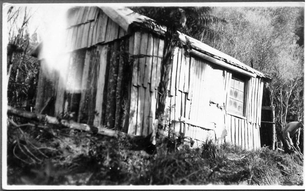 A cabin in the bush