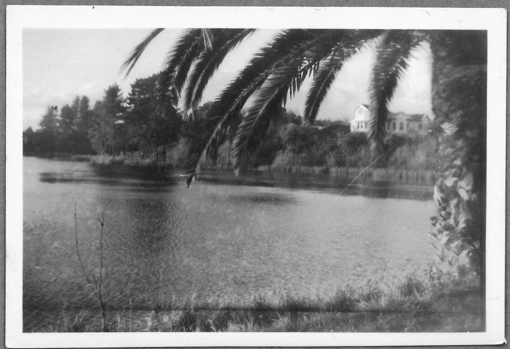 A river scene along the Uretara.