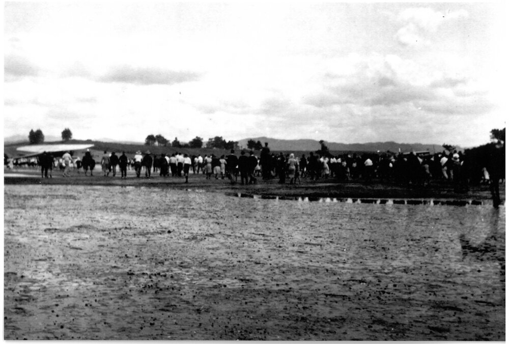 The Southern Cross on the Athenree Flats