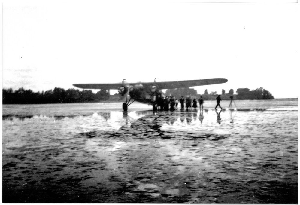 The Southern Cross on Athenree Flats