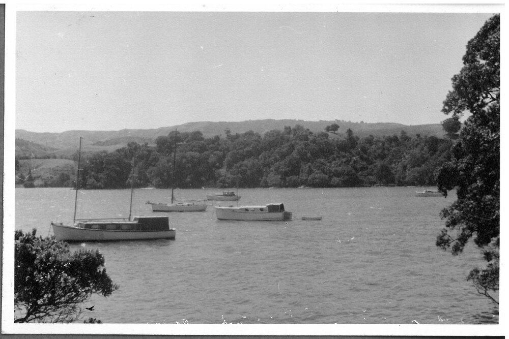 Boats in the harbour