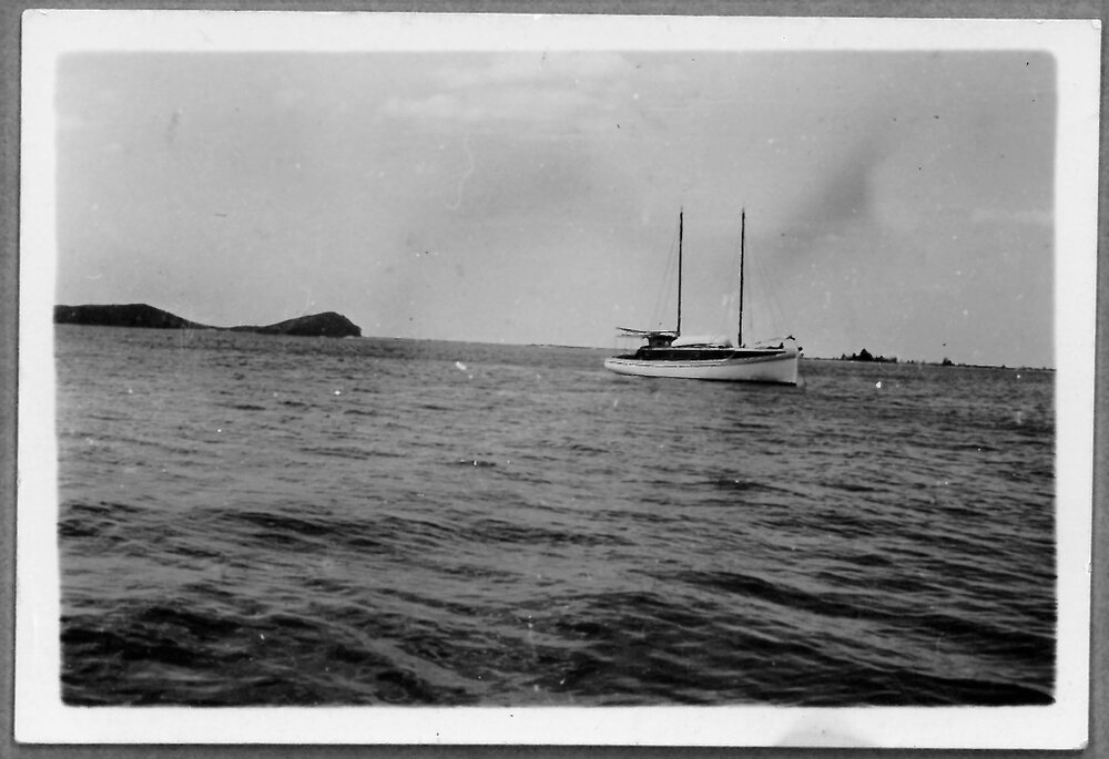 Boat in Tauranga Harbour