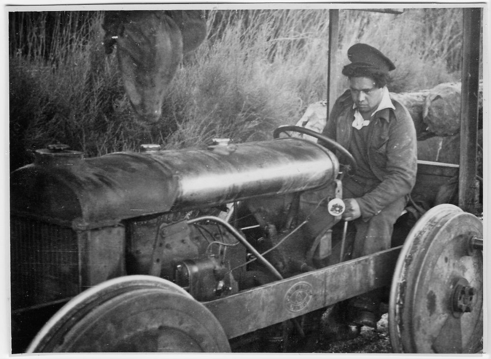 Working the log train