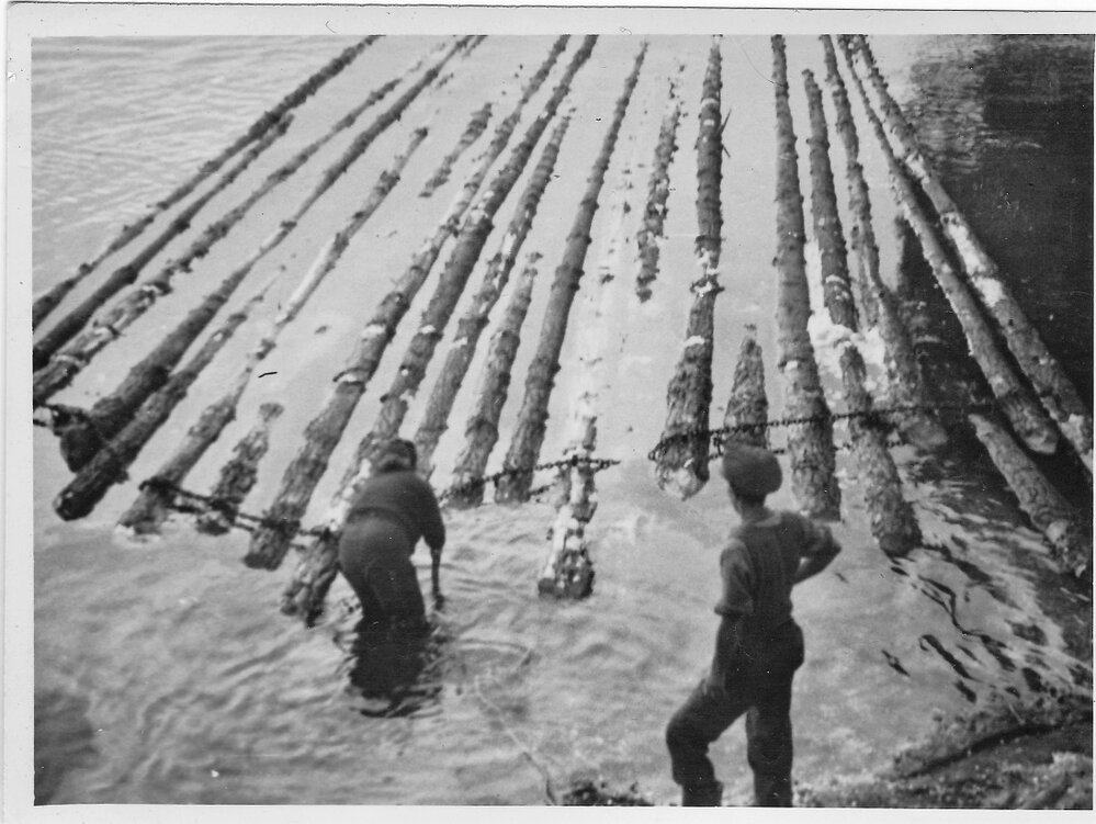 Imagine this on a Winter morning!