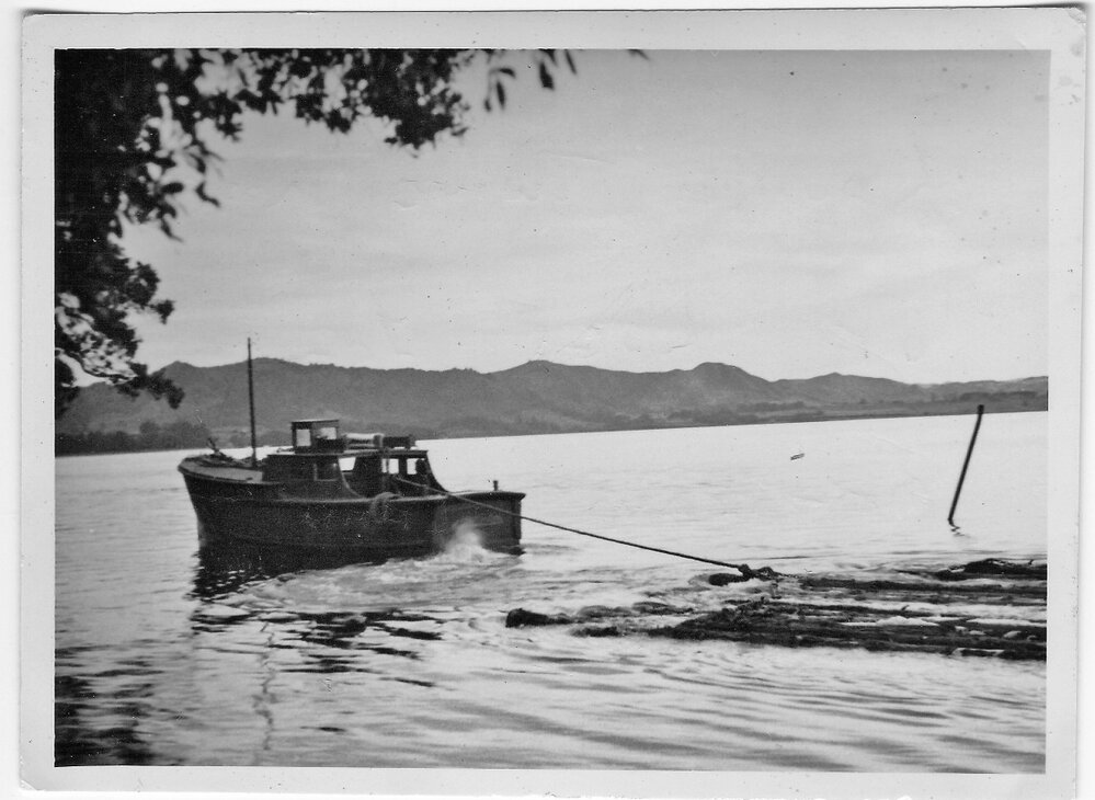 A log raft on its way to the KDV Mill from Matakana Island