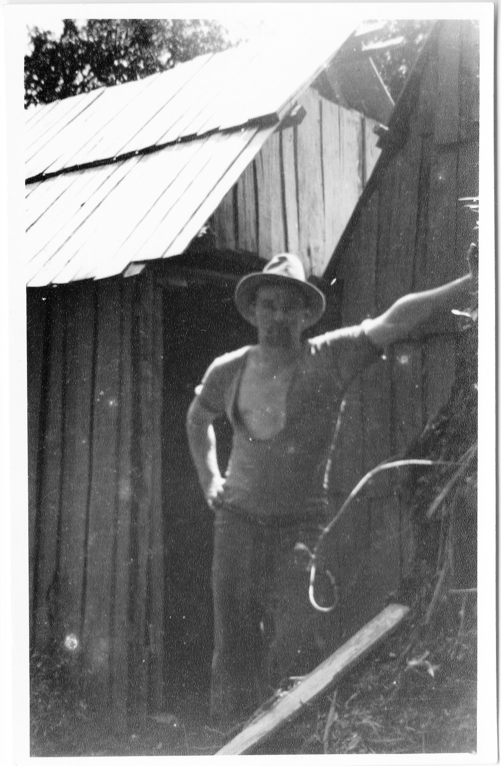 At Katikati Kauri Bush Camp
