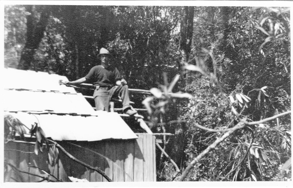 Katikati Kauri Bush Camp