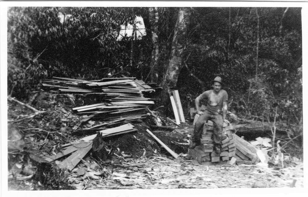 Building a camp in the bush