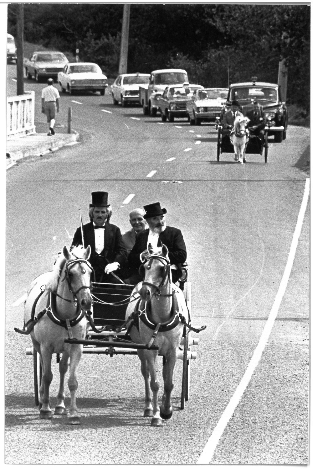 A leisurely tour of Katikati