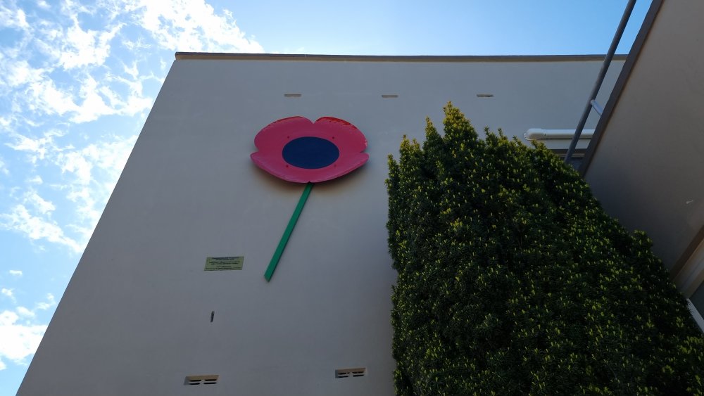 Te Puke Memorial Hall - the ANZAC poppy