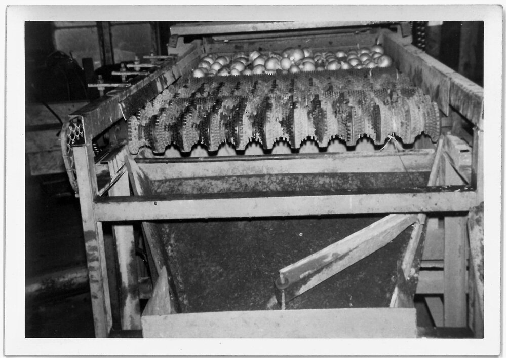 Spool grader 6