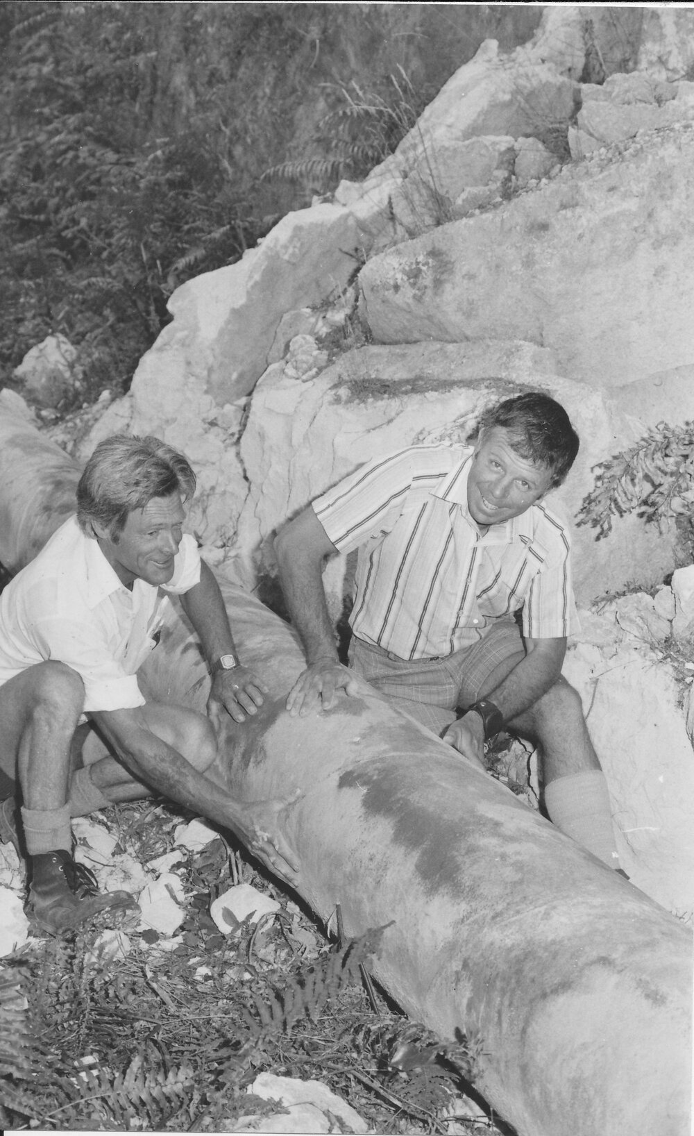 Te Puke Borough Engineer Colin Light