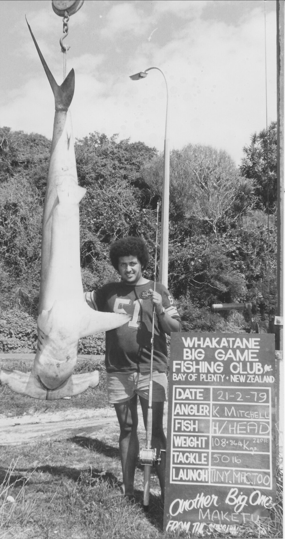 A hammerhead shark caught at Maketu