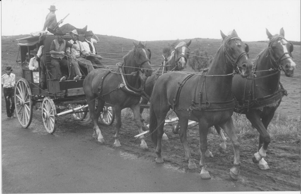 Te Puke Centennial celebrations - the mail &amp; passenger coach