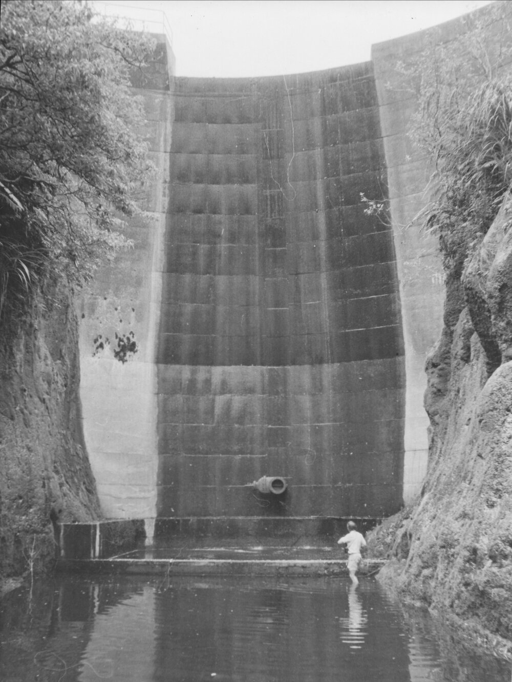 Raymond Dam repairs, Te Puke