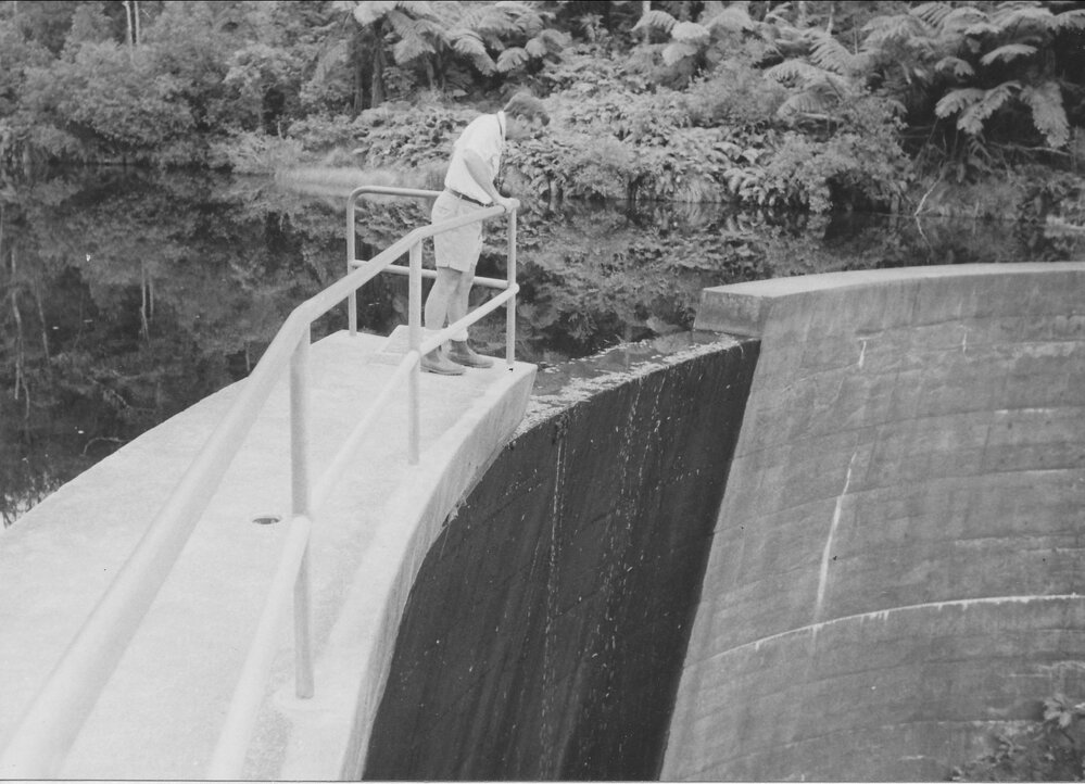 Raymond Dam, Te Puke