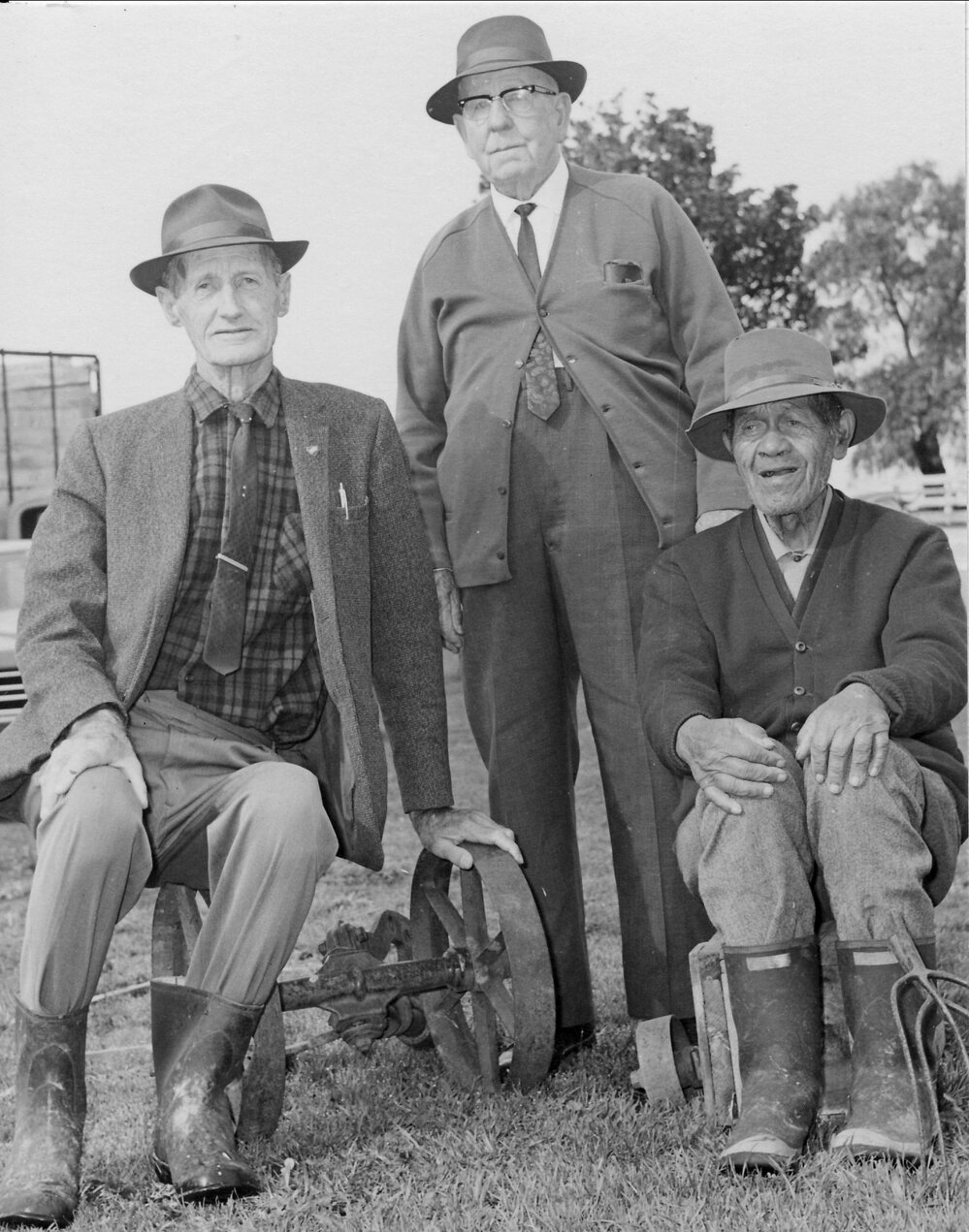The final sale at the Farmer's Auctioneering Company's sale yards at Te Puke