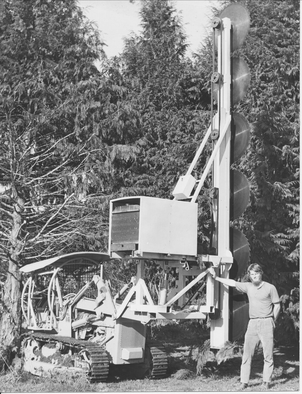 An early shelter trimmer, Te Puke