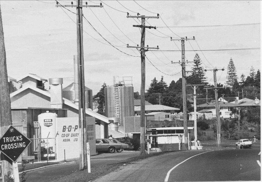 Te Puke Dairy Factory