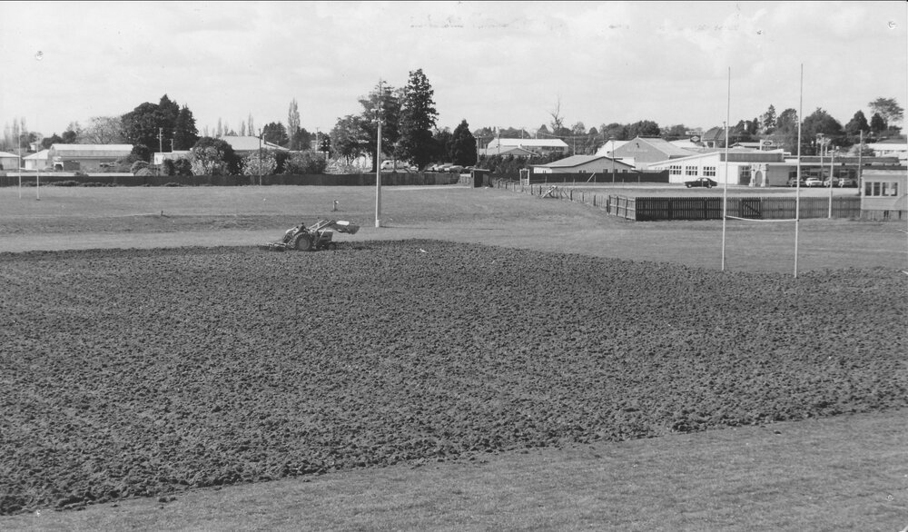 The Jamieson Oval, Te Puke