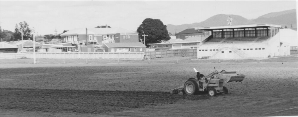 The Jamieson Oval, Te Puke
