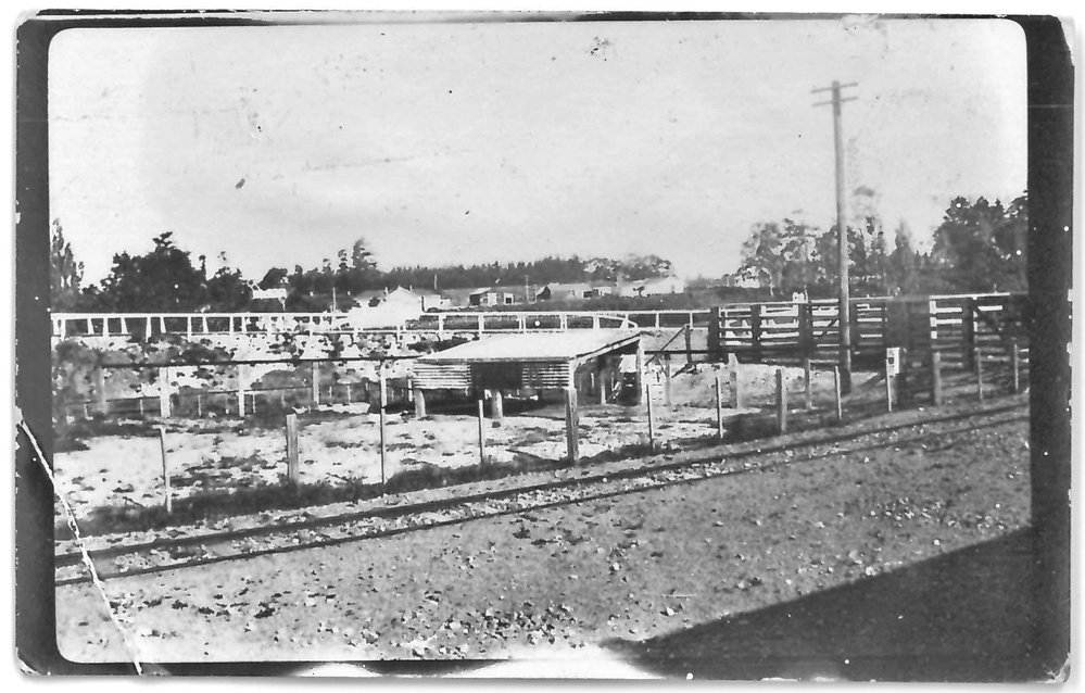 Katikati railway with stock yard in the background