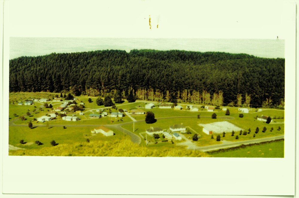 Roteohu Forest Village from the west