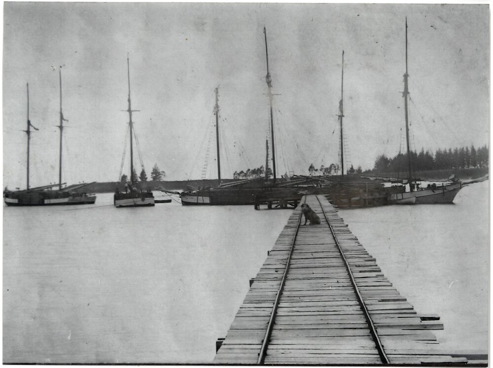 Diggelmann Point or Wharf, Katikati
