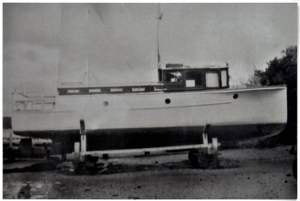 Royal Saxon at Athenree