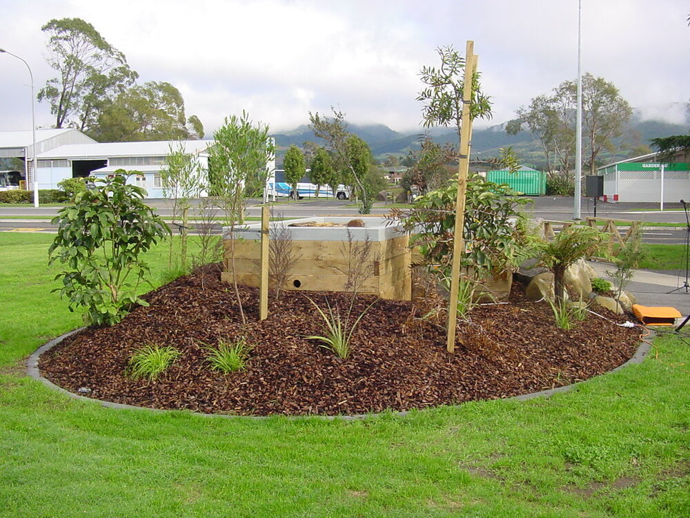 The Kauri Dam, Diggelmann Park, Katikati