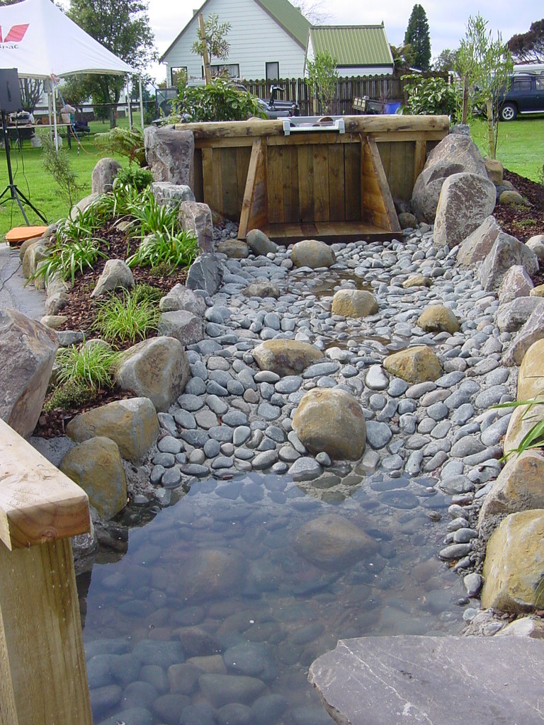 The Kauri Dam, Diggelmann Park, Katikati
