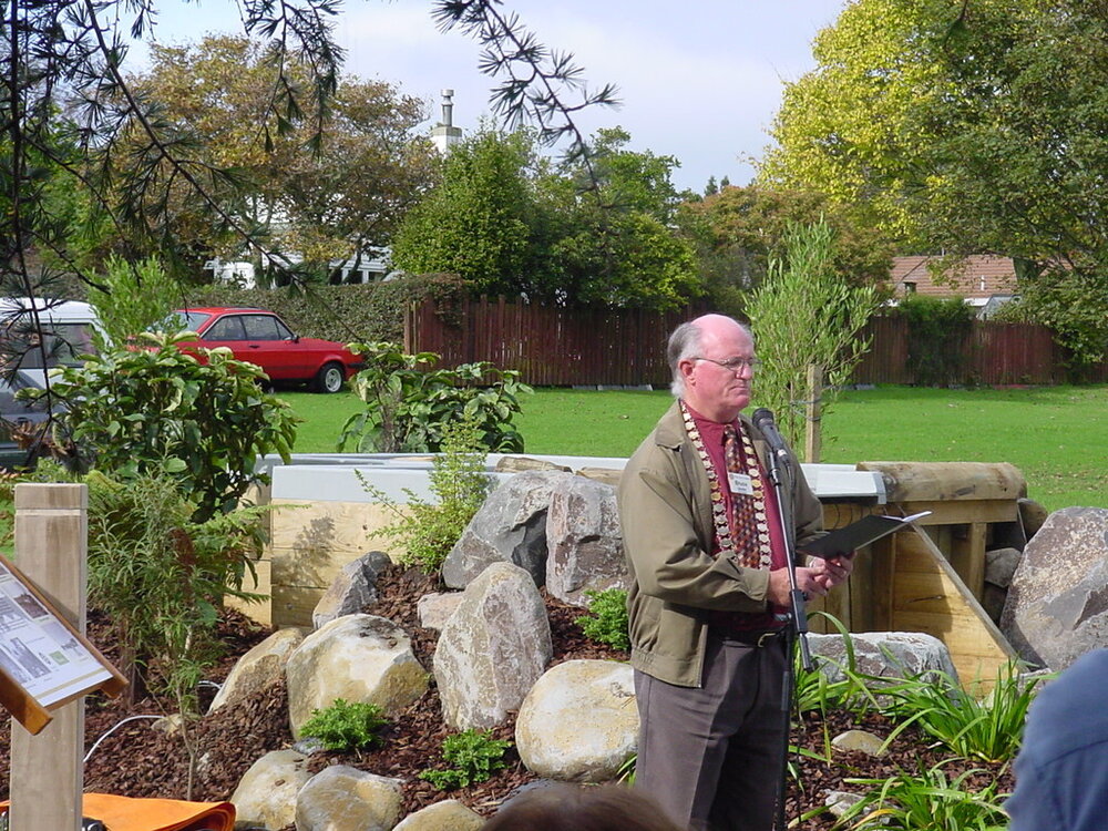 The Kauri Dam, Diggelmann Park, Katikati