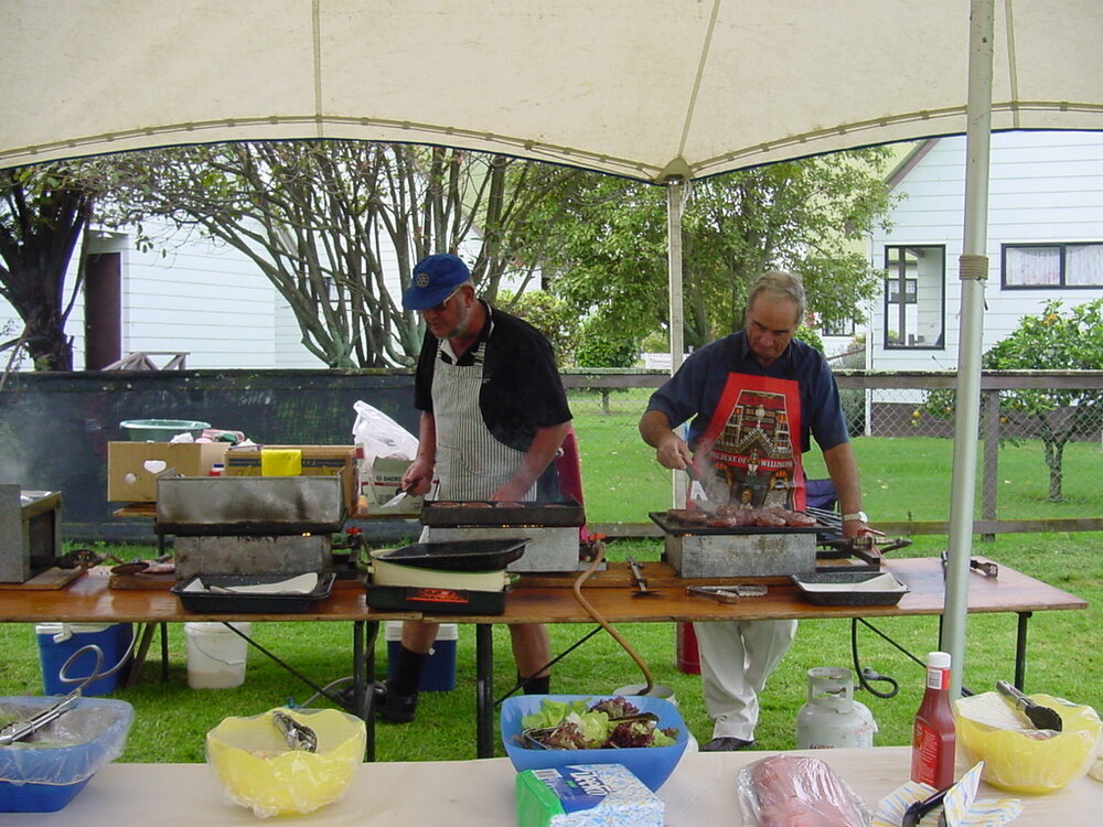 The Kauri Dam, Diggelmann Park, Katikati